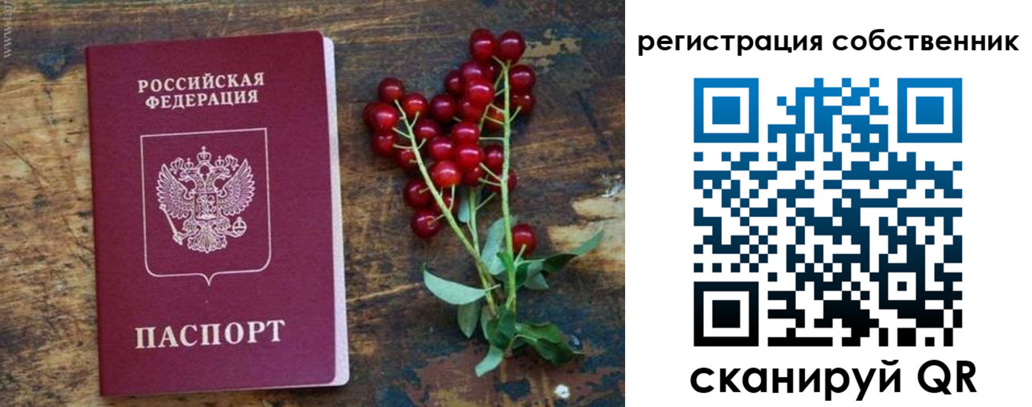 регистрация для дет. сада в Бугуруслане
